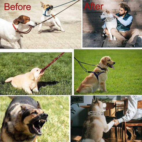 Darkyazi Durable Pinch Collar, Adjustable Stainless Steel Training Collar for Medium Large Dogs (Small, Pack of 1,