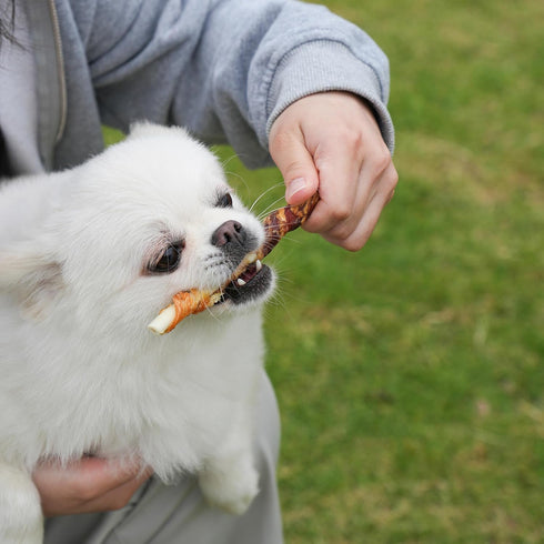 MON2SUN 5 Inch 21.16 oz (40 Count) Dog Treats Double Flavor Chicken & Duck Wrapped Rawhide Sticks, Teeth Cleaning