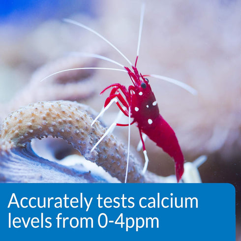 API CALCIUM TEST KIT, 1-Count Saltwater Aquarium Water Test Kit (69L)