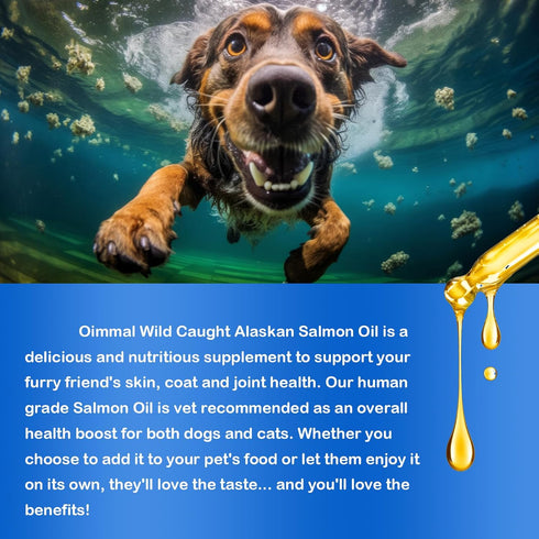 Omega 3 Fish Oil for Dogs, 8.8 FL.OZ Salmon Oil Supplement for Skin and Coat, EPA + DHA, Golden