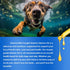 Omega 3 Fish Oil for Dogs, 8.8 FL.OZ Salmon Oil Supplement for Skin and Coat, EPA + DHA, Golden