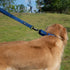 Hyhug Pets Premium Upgraded Durable Nylon 18 Inch Short Leash with Soft Padded Neoprene Lined Handle for Medium Large Giant Dogs, Daily Use and Professional Training. (Classic Blue)