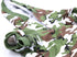 DroolingDog Camo Hoodie for Large Dogs, XXXL, Green