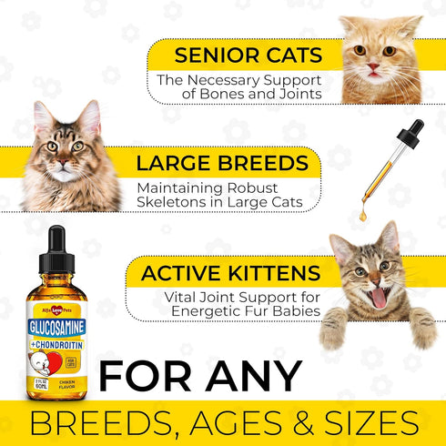 Glucosamine for Cats, Joint Supplement in Liquid Form, Chicken Flavor, 2 Oz