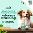 4oz. TropiClean Fresh Breath Dog Toothpaste for Teeth Cleaning, Breath Freshener, Easy Plaque & Tartar Remover Gel, No