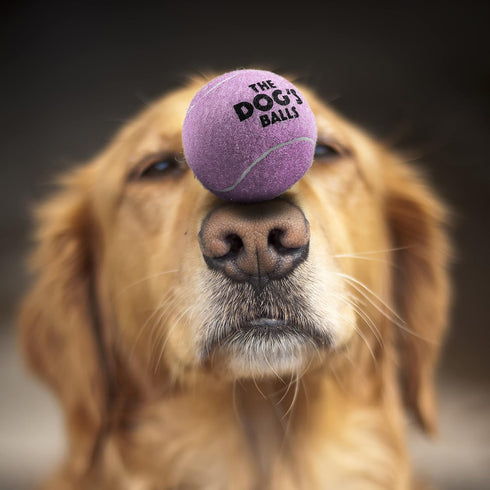 The Little Dog's Balls, Dog Tennis Balls, 6-Pack Lilac, 1.9 Inches Diameter, Strong Dog & Puppy Ball for Training,