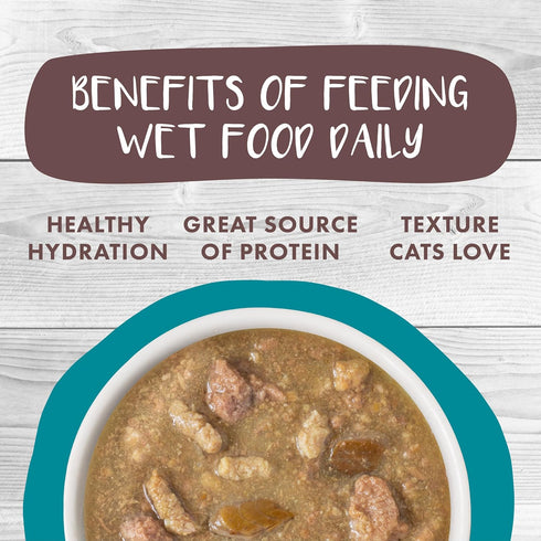 Weruva Classic Cat Stews! Stew's Clues with Turkey, Chicken & Salmon in Gravy, 2.8oz Can (Pack of 12)