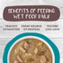 Weruva Classic Cat Stews! Stew's Clues with Turkey, Chicken & Salmon in Gravy, 2.8oz Can (Pack of 12)