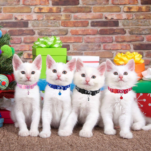 Weewooday 4 Pieces Halloween Skull Cat Collar Breakaway Kitten Collars with Bell, Adjustable Outfit with Skull Patterns