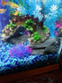 Natural Slate Rocks - PH Neutral Stone for Aquariums, Landscaping Model, Tank Decoration, 3.5 LB, 3-5 inch