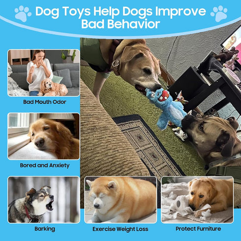 Bzonsmart Dog Squeaky Toys Tough Plush Chew Toys Bundle for Small Medium Large Dogs Interactive Dog Toys to Keep Them