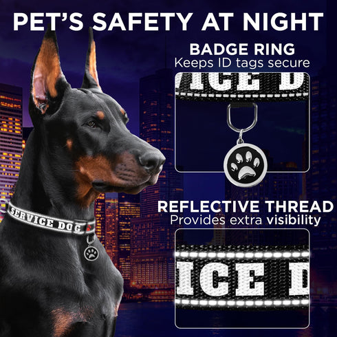 TECEUM Reflective Pet Collar, Extra Soft Padding, Basic Nylon Dog Collar with Quick Release for All Sizes