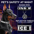 TECEUM Reflective Pet Collar, Extra Soft Padding, Basic Nylon Dog Collar with Quick Release for All Sizes