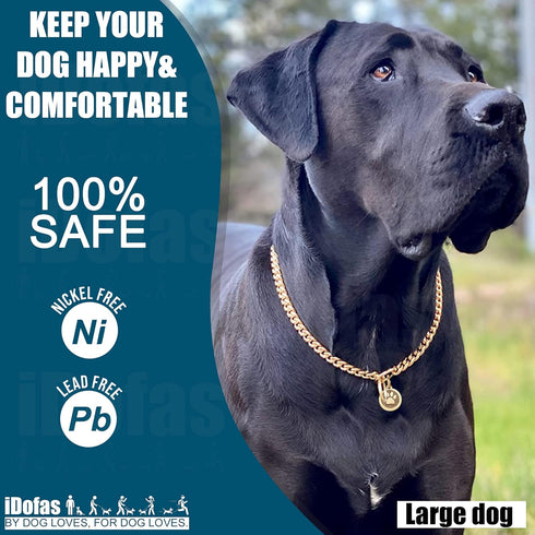 Gold Dog Collar - 10mm Slip Cuban Link Chain, Heavy Duty Stainless Steel Collar for Dogs (14")