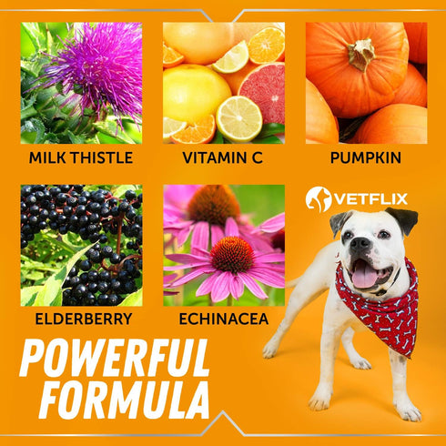 Allergy Immune Anti Itch & Hot Spots, Natural Pet Supplement for Cat & Dog Allergy Relief, 2 Fl Oz