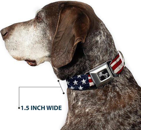Buckle-Down Americana Rustic Stars & Stripes Seatbelt Buckle Dog Collar - 1" Wide, Fits 15-26" Neck