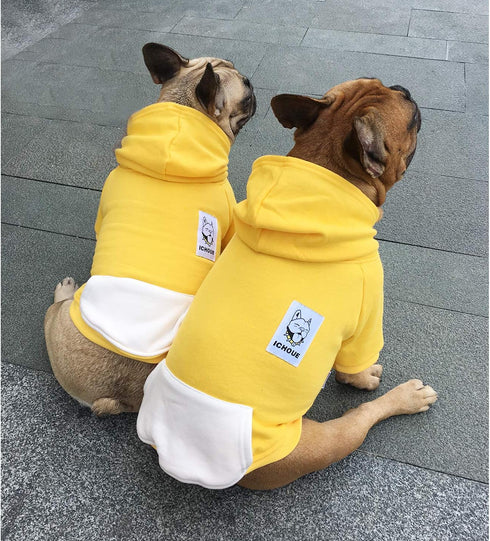 iChoue I am a French Bulldog Clothes Hoodies for Dogs, Puppy Frenchie Pug Sweatshirt, Yellow/Large
