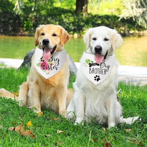 2 Packs Big Sister Brother Pregnancy Announcement Dog Bandana, Gender Reveal Photo Prop, Pet Scarf Accessories