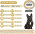 Cuban Link Dog Collar with Rose Gold Crystal Necklace, Metal Chain Collar with Secure Buckle for Small Medium Large