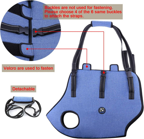 Coodeo Dog Lift Harness - Pet Support & Rehabilitation Sling Lift for Old, Disabled Dogs (Blue, S)