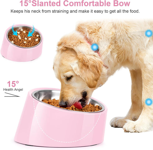 Tilted Angle Dog Bowl, 15° Slanted Stainless Steel Pet Feeder with Elevated Detachable Stand, Easy to Get Food (M/1.5