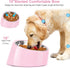 Tilted Angle Dog Bowl, 15° Slanted Stainless Steel Pet Feeder with Elevated Detachable Stand, Easy to Get Food (M/1.5
