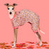 Fitwarm Leopard Dog Pajamas, Fleece Clothes for Small Dogs Girl, Pet Onesie, Cat Outfit, Pink, Small