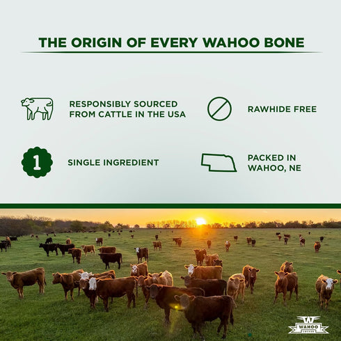 W WAHOO LOCKER 1.5in, 4 Count Wahoo Locker Smoked Beef Bones for Dogs