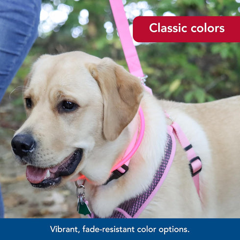 Coastal Pet Double-Ply Dog Leash - Pink Bright, 1" x 6' with Bolt Snap Attachment