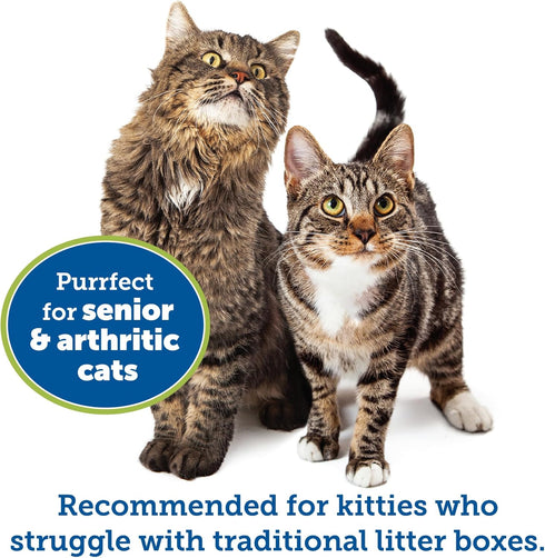 KittyGoHere Senior Cat Litter Box - 1 Pack Large Storybook Lavender Low Entrance, Perfect for Senior Cats