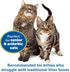 KittyGoHere Senior Cat Litter Box - 1 Pack Large Storybook Lavender Low Entrance, Perfect for Senior Cats