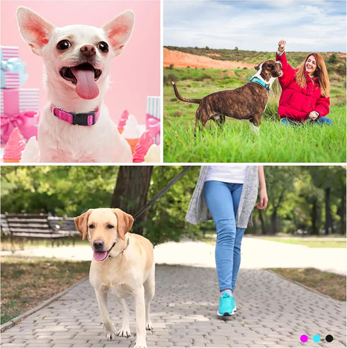 Durable Reflective Dog Collar and Leash Set, Soft Neoprene Padded Collar with 5ft Strong Leash for Medium Large Dogs