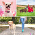 Durable Reflective Dog Collar and Leash Set, Soft Neoprene Padded Collar with 5ft Strong Leash for Medium Large Dogs