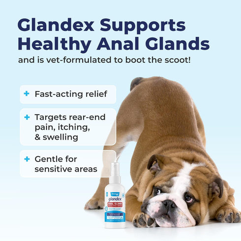 Vetnique Labs Glandex Medicated Dog Anal Gland Spray - Pain Relieving & Anti-Itch Formula (4oz)