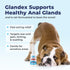 Vetnique Labs Glandex Medicated Dog Anal Gland Spray - Pain Relieving & Anti-Itch Formula (4oz)