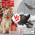 Liliful 24 Pieces Christmas in July Dog Rope Toys | Candy Cane Chew Toys for Small Medium Large Dogs