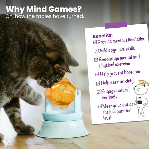 2-in-1 Catstages Spinning Fish Treat Dispenser Cat Toy, Interactive Puzzle Feeder & Cat Ball Track Add-On, Blue