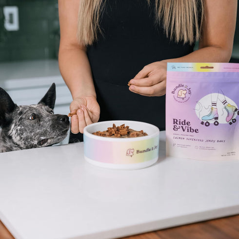 5 Oz Bundle x Joy Ride & Vibe Salmon Jerky for Dogs - Bag, Natural Superfood - Corn, Poultry, Soy & Grain Free Salmon