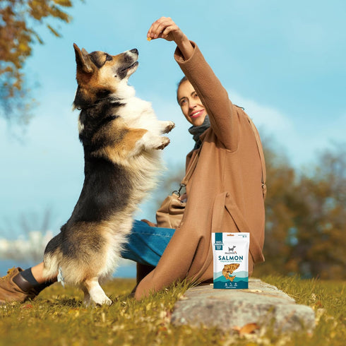McLovin's Pet Freeze Dried Raw Salmon Dog Treats, 2.5 oz - High Protein, Grain-Free, Gluten-Free Healthy Dog Training