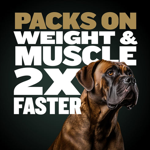 Bully Max Pro 2X High Calorie & High Protein Dry Dog Food, 4 lbs for Puppy and Adult Dogs - Muscle Building & Healthy