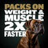 Bully Max Pro 2X High Calorie & High Protein Dry Dog Food, 4 lbs for Puppy and Adult Dogs - Muscle Building & Healthy