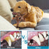 Dog Toys for Aggressive Chewers, Indestructible Chew Toys for Large Medium Small Breeds, 3 Pack