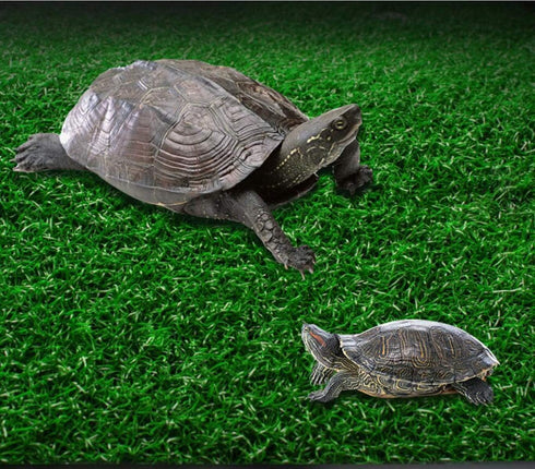 Turtle Resting Basking Platform, Simulation Grass Turtle Ramp, Tortoise Climbing Ladder for Aquarium Floating Décor