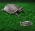 Turtle Basking Platform, Lawn Resting Basking Platform for Fish Tank and Tortoise Ramp