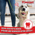 Treats Beef Cheek Rolls for Dogs, Promotes Dental Hygiene, 100% Natural, 1.52 lbs, 5 Rolls