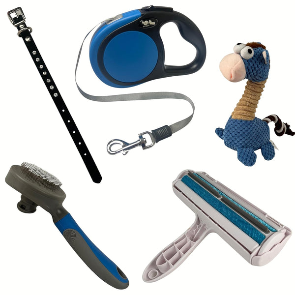 ATE Pro. USA Puppy Supplies Starter Kit, 5 pc Set, Retractable Leash, Studded Leather Collar,