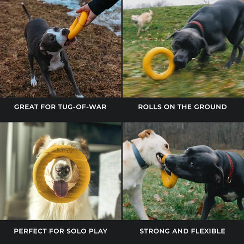 Chew Ring & Fetch Ball Combo for Aggressive Chewers | Heavy-Duty, Ultra-Durable Natural Rubber Toys for Medium to Large