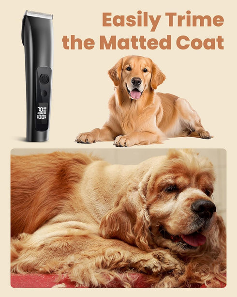 2 Timmer PAPMINI Dog Clippers for Grooming Thick Hair with Undercoat Rake, Low Noise Cordless Dog Grooming Kit