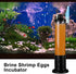 Brine Shrimp Eggs Incubator, Hatchery Kit for Aquarium Brine Shrimp Eggs, Fish Tank Hatch Tool