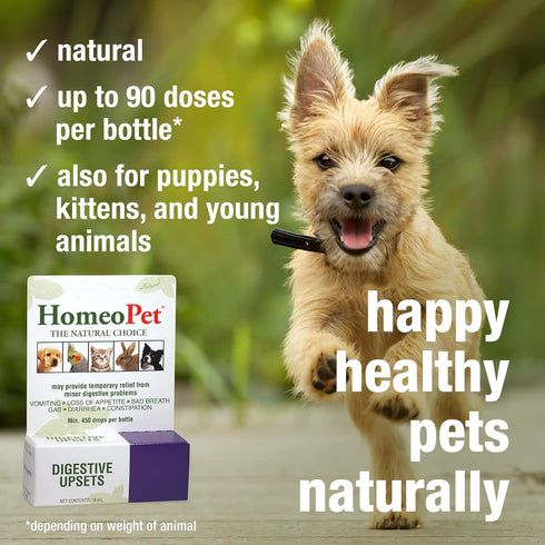 HomeoPet Digestive Upsets, Natural Digestive Support Supplement for Dogs, Cats, and Small Pets, 15 Milliliters